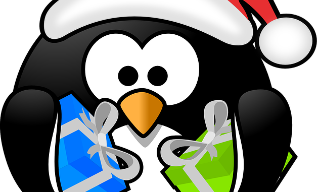 christmas-161316_960_720